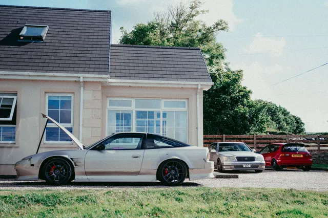 A Summer in good company — photograph 6