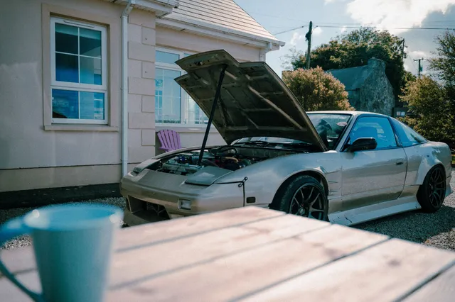 A Summer in good company — photograph 2